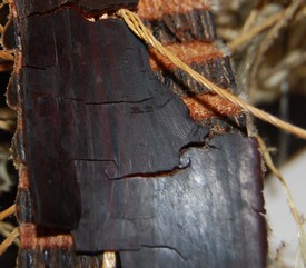 Troubleshooting – Timing Belt Cracking | Pfeifer Industries
